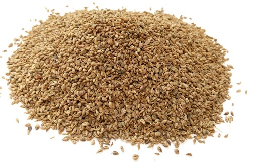 Premium ajwain seeds for - "premium,