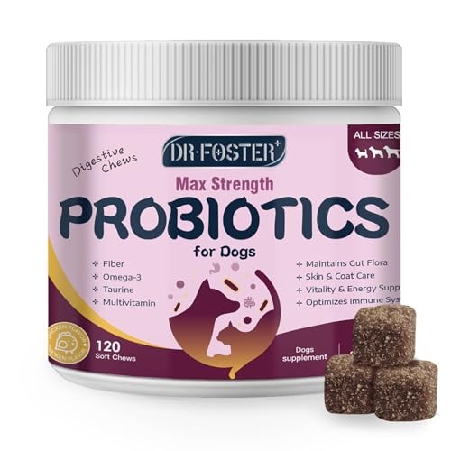Dog probiotics for - dog,