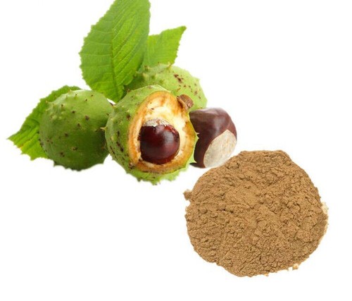 Horse chestnut extract - extract,